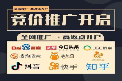 不同平台下的关键词竞价排名策略比较与案例分析